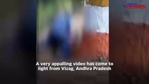 Vizag: Video of man raping a woman in broad daylight will shock you