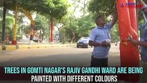 Trees painted with colours as part of beautification drive in Lucknow