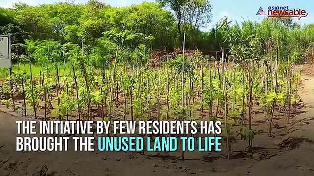 Krishnarajapuram's Railway Colony residents grow mini forest in unused land