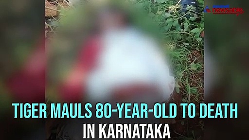 Tiger mauls villager to death in Karnataka's Chowdhalli village