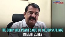BBMP to plant 75,000 saplings in Bengaluru in 2019, starting from June