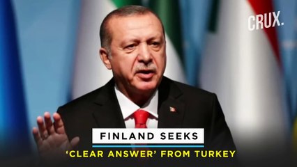 Télécharger la video: Finland, Sweden Confirm NATO Bid Amid Putin Warning l Russian Missiles Hit Military Targets In Lviv