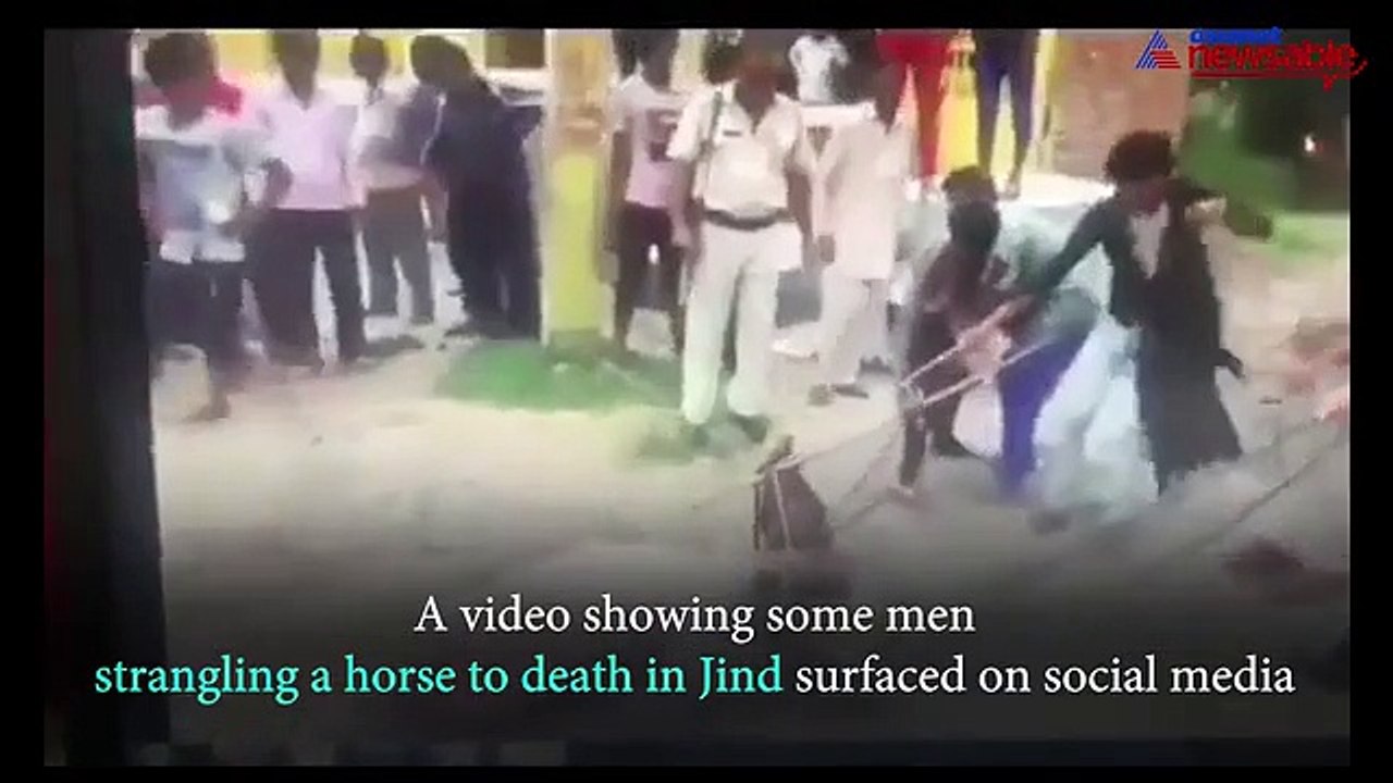 This horse was strangled to death by men, and even the cops had a role to play
