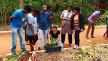Permaculture: Activists create forest, harvest vegetables at Bengaluru’s Jakkur lake