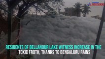 Bellandur lake