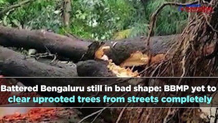 Bengaluru Night Cap: From hero stone for martyrs to Ganesh becoming the next Chowkidar