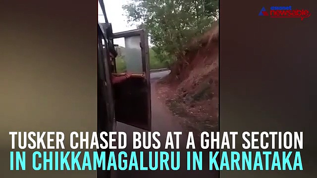 Karnataka: Elephant chases KSRTC bus in Chikkamagaluru