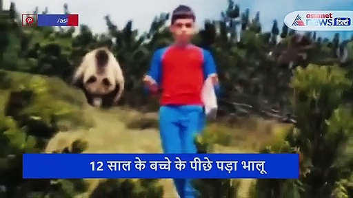 परिवार के साथ जंगल में पिकनिक मना रहा था बच्चा, पीछे से आ धमका विशाल भालू, फिर...