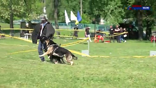 কুকুর ভালবাসেন, কিন্তু তাদের সম্পর্কে এই তথ্যগুলি জানেন কি