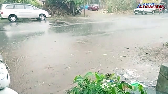 Heavy rains lash Bengaluru, several trees uprooted