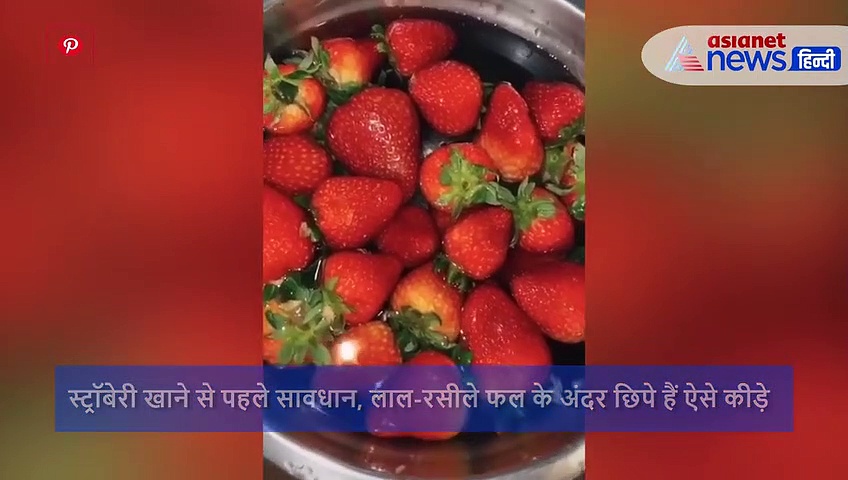 स्ट्रॉबेरी खाने से पहले सावधान, लाल-रसीले फल के अंदर छिपे हैं ऐसे कीड़े