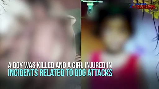 Dog attacks: Five-year-old boy killed; girl left severely injured in Bengaluru