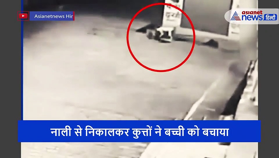 पत्थरदिल मां ने नवजात बेटी को सड़क पर  मरने को फेंका, फिर आवारा कुत्ते बन कर आए फरिश्ता