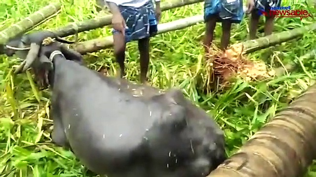 Heavy rains ravage villages in Karnataka's Tumkuru