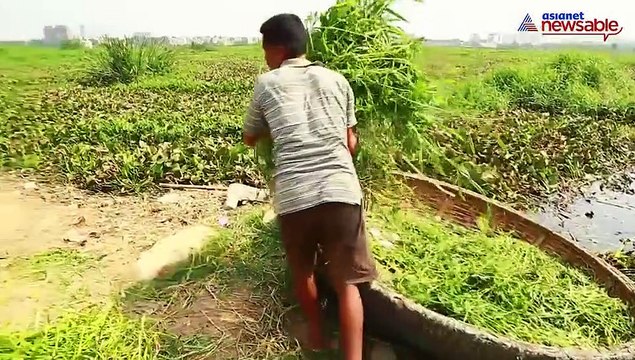 Bengaluru: Farming dying a slow death in 36 villages of Bellandur, Varthur