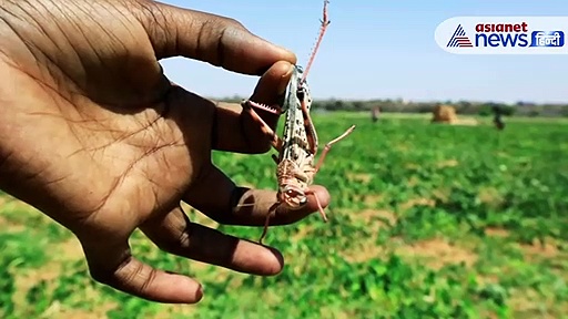 अगर इस संकट से वक्त रहते नहीं निपटा गया तो चारों तरफ फैलेगी भुखमरी