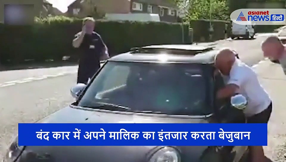 तपती गर्मी में मालिक ने कार में छोड़ा कुत्ता, वो करते रहे शॉपिंग, मौत का इंतजार करता रहा बेजुबान