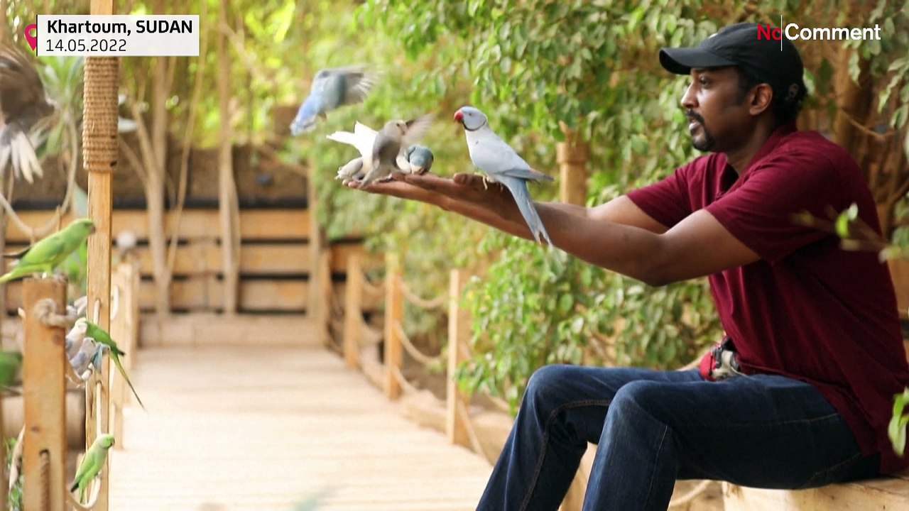 Handzahme Exoten: Akram Yehia hat seinen Garten in ein Vogelparadies verwandelt