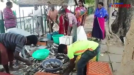 Bengaluru’s Ulsoor lake in danger; fishermen fear entry of contaminated water