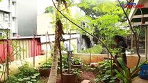 Bengaluru Economics professor’s terrace floor organic garden solves household wastage problem