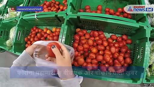 सावधान! अब टमाटर से भी फैल रहा कोरोना, जानें सच