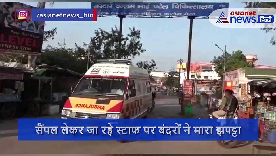 VIDEO:बंदरों ने लैब टेक्नीशियन से छीने कोरोना पाजिटिव मरीजों के सैंपल