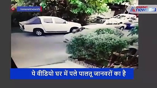 महंगी कार से आया शख्स बीच सड़क फेंक गया थैली, प्लास्टिक में छटपटाते बच्चों को देख भर आई आंखें