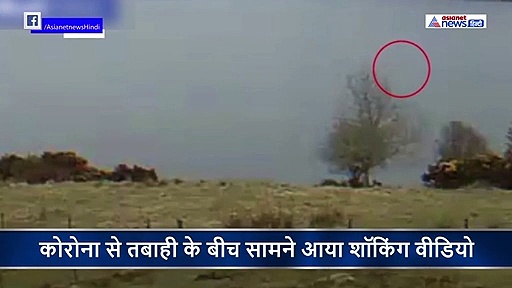 कोरोना से ताबाही के बीच धरती पर आया दानव, समुद्र में देखा गया 30 फीट का दैत्याकार जानवर