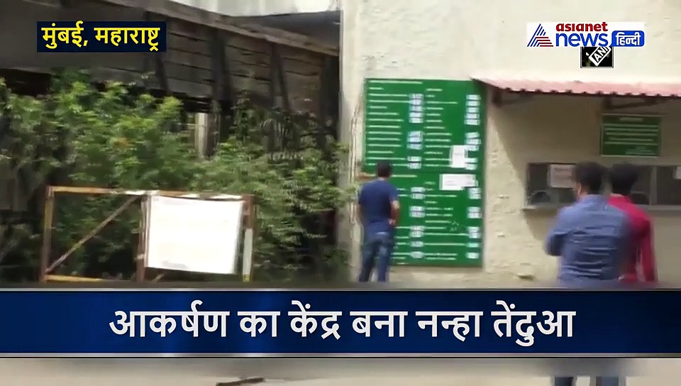 आखिर किस वजह से नन्हा तेंदुआ बना आकर्षण का केंद्र, पार्क में देखने आ रहे खूब लोग