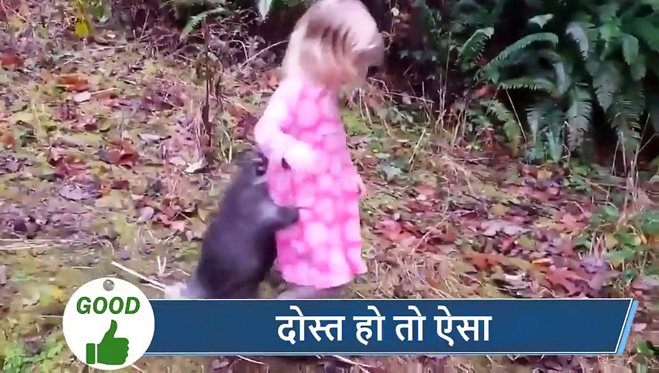 5 वायरल खबरें: उल्लू को हाथ में पकड़ बनाया टिकटॉक, अब जेल जाने की आई नौबत