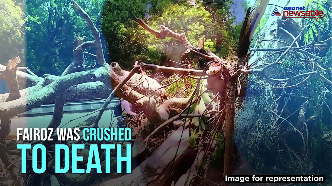 PubliCity: BBMP yet to compensate family of victim who died three years ago