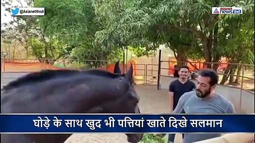 घोड़े के साथ पत्तियां खाते दिखे सलमान, फॉर्महाउस में ऐसे काटने पड़ रहे दिन