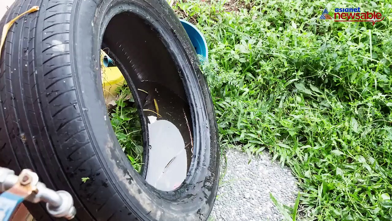 Mosquito menace: Wet garbage, water puddles become home to mosquitoes