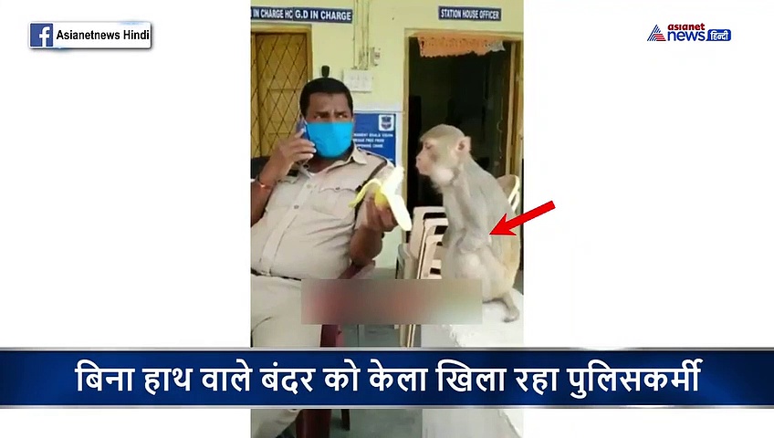 वीडियो: बंदर के नहीं है दोनों हाथ, पुलिसवाले ने अपने हाथों से छीलकर खिलाया केला