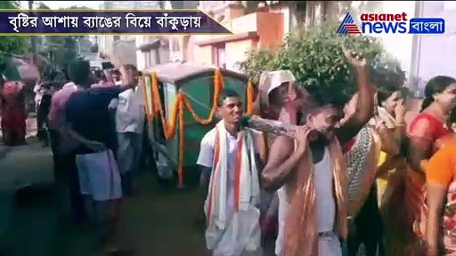 পালকি, গায়ে হলুদ, মালাবদল, বিয়ের অত্যাচারে কাহিল দুই ব্যাঙ