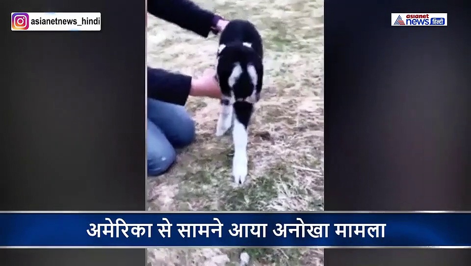 अंधविश्वास; दुनिया को कोरोना से बचाने भगवान ने लिया अवतार! दर्शन को लगी भीड़