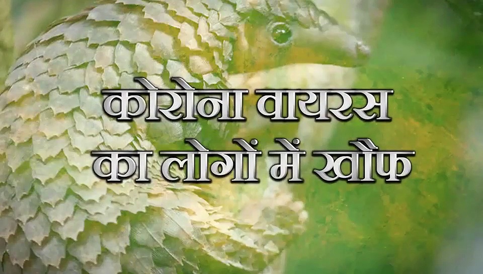 कोरोना वायरस: लॉकडाउन के बीच महिलाएं ऐसे कर रही मां दुर्गा की आराधना