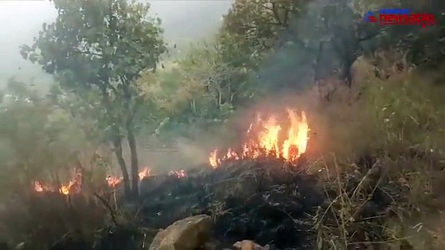 Tamil Nadu: Five trekkers dead, 30 rescued in massive forest fire