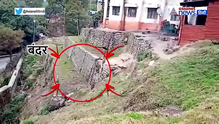 बंदरों के आतंक से निपटने के लिए ITBP के जवान बने भालू, फिर हुआ कुछ ऐसा