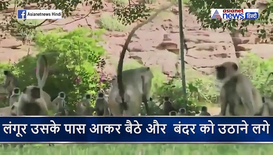 मरे 'बच्चे' को छाती से चिपकाए रही मां