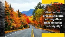 What exactly are those broken and unbroken white/yellow lines along the roads?