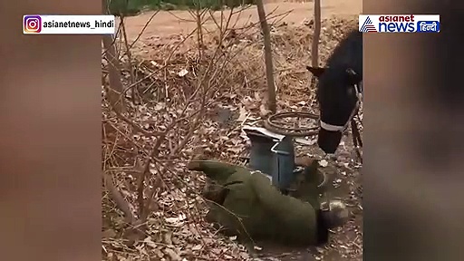 पछाड़ खाकर गिरा दिव्यांग...दौड़ता हुआ आया घोड़ा और पीठ पर दी जगह, देखिए भावुक करने वाला वीडियो