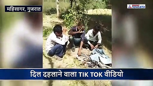 TIK TOK वीडियो के लिए पहले सांप को बनाया खिलौना और फिर अधमरा करके जला दिया