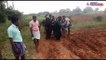 Villagers and forest officials come together to save baby elephant in Karnataka
