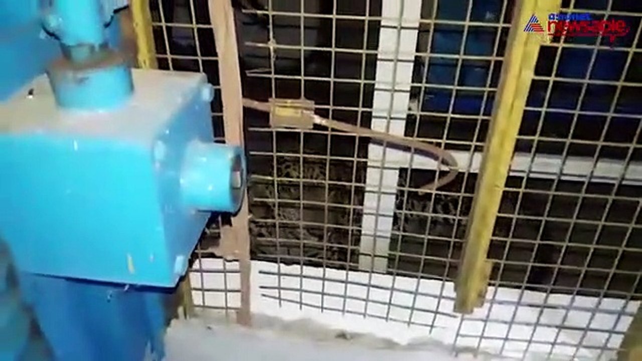 Mysore: Fierce leopard enters village area in Uttanahalli