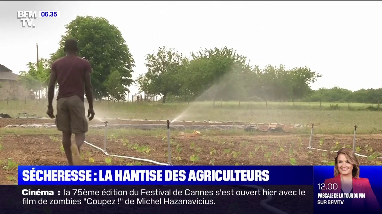 La sécheresse menace les productions agricoles