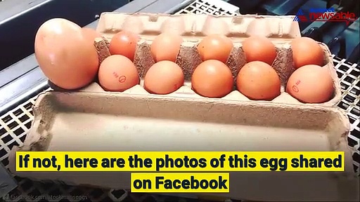 Egg inside another big egg is the next viral thing out on the internet