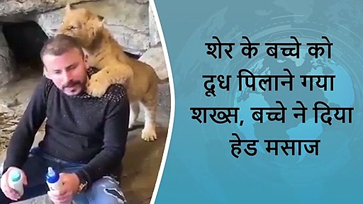 5 वायरल खबरें: स्कूल में टीचर ने की बेटे की पिटाई, तो मां ने कुत्ता बनाकर घुमाया