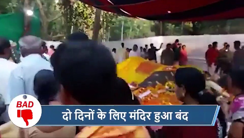 5 वायरल खबरें: लाडले गजराज की मौत