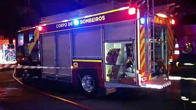 O animal já se encontrava em óbito, infelizmente relatou Tenente do Corpo de Bombeiros após cachorrinho morrer em incêndio
